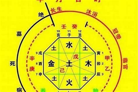 喜用神火木|如何确定自己的八字喜用神